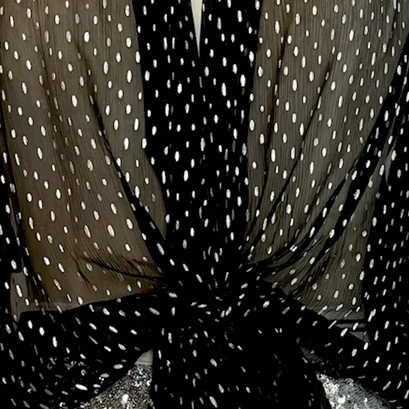 Black Silk Blouse