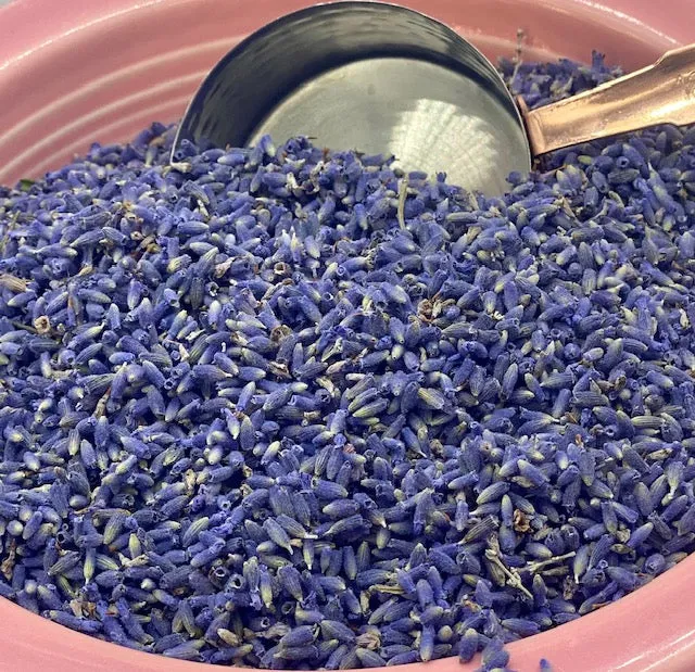 Culinary Lavender