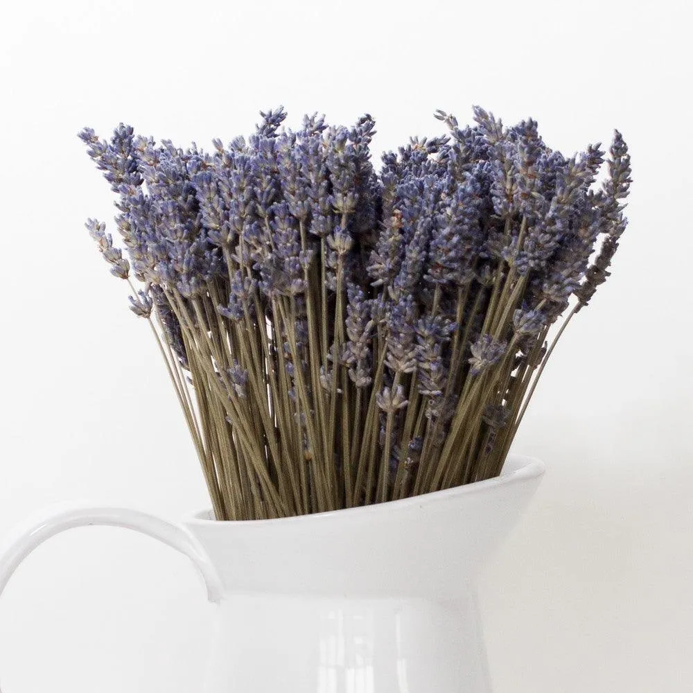 Dried French Lavender Bunches | Set of 2