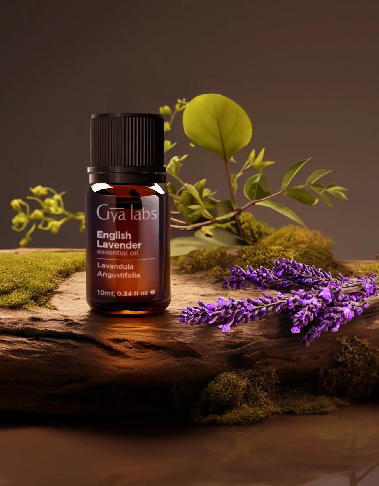 English Lavender Oil