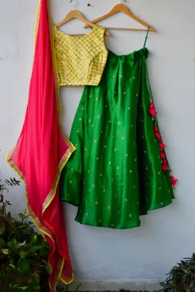 Pleasant star Lehenga with stone work skirt and chiffon duppata