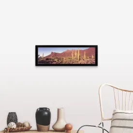 "Alamo Canyon Organ Pipe Cactus National Park AZ" Black Framed Print