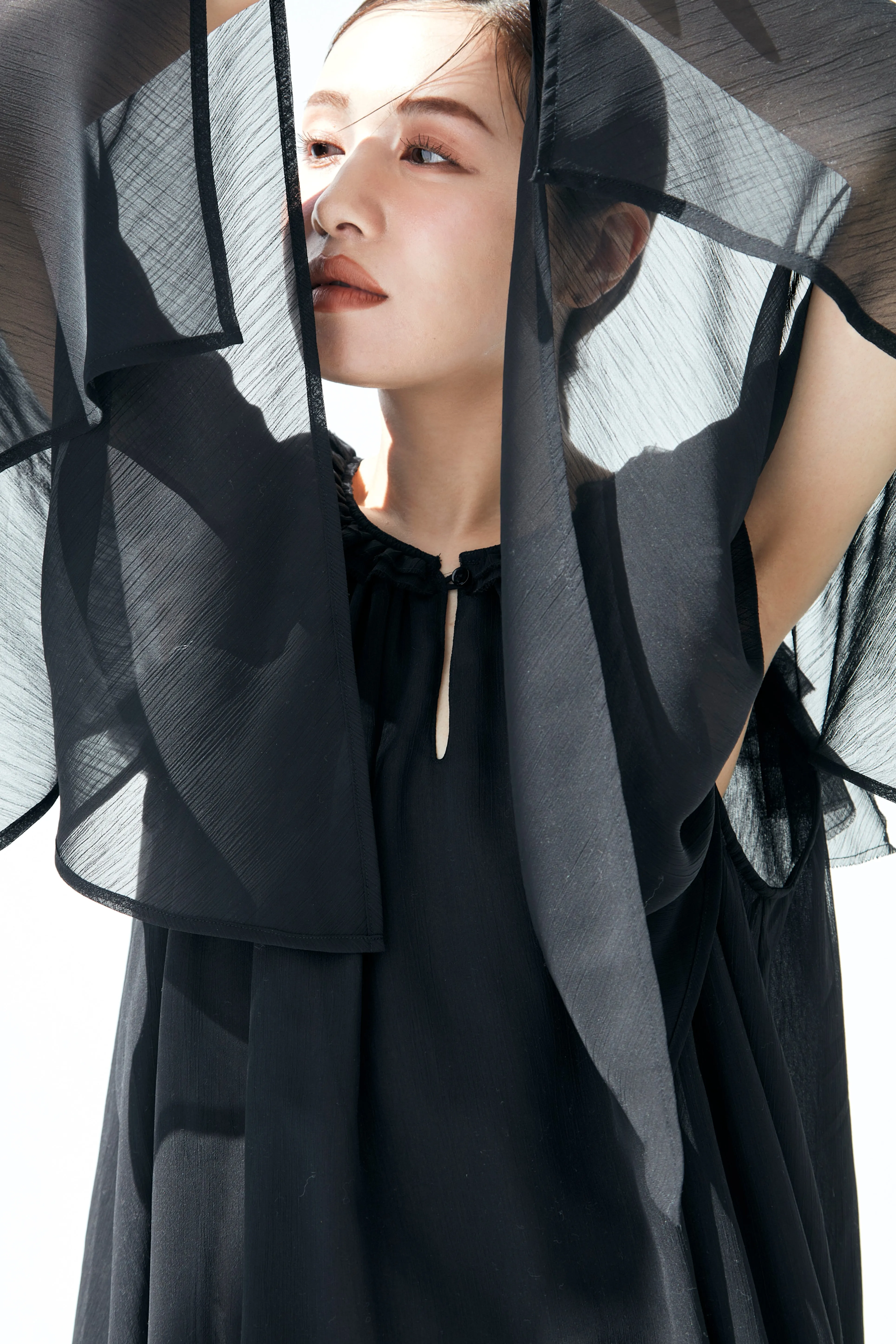 Ruffle chiffon Blouse